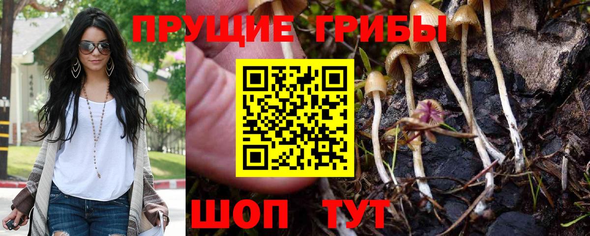 Галлюциногенные грибы ЛСД  купить  цена  Вход с VPN  Нижний Новгород  Галлюциногенные грибы ЛСД 